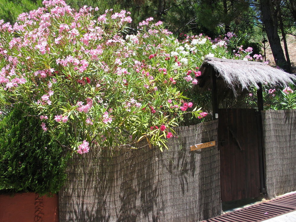 Hotel DDG Retreat Casares Exterior foto
