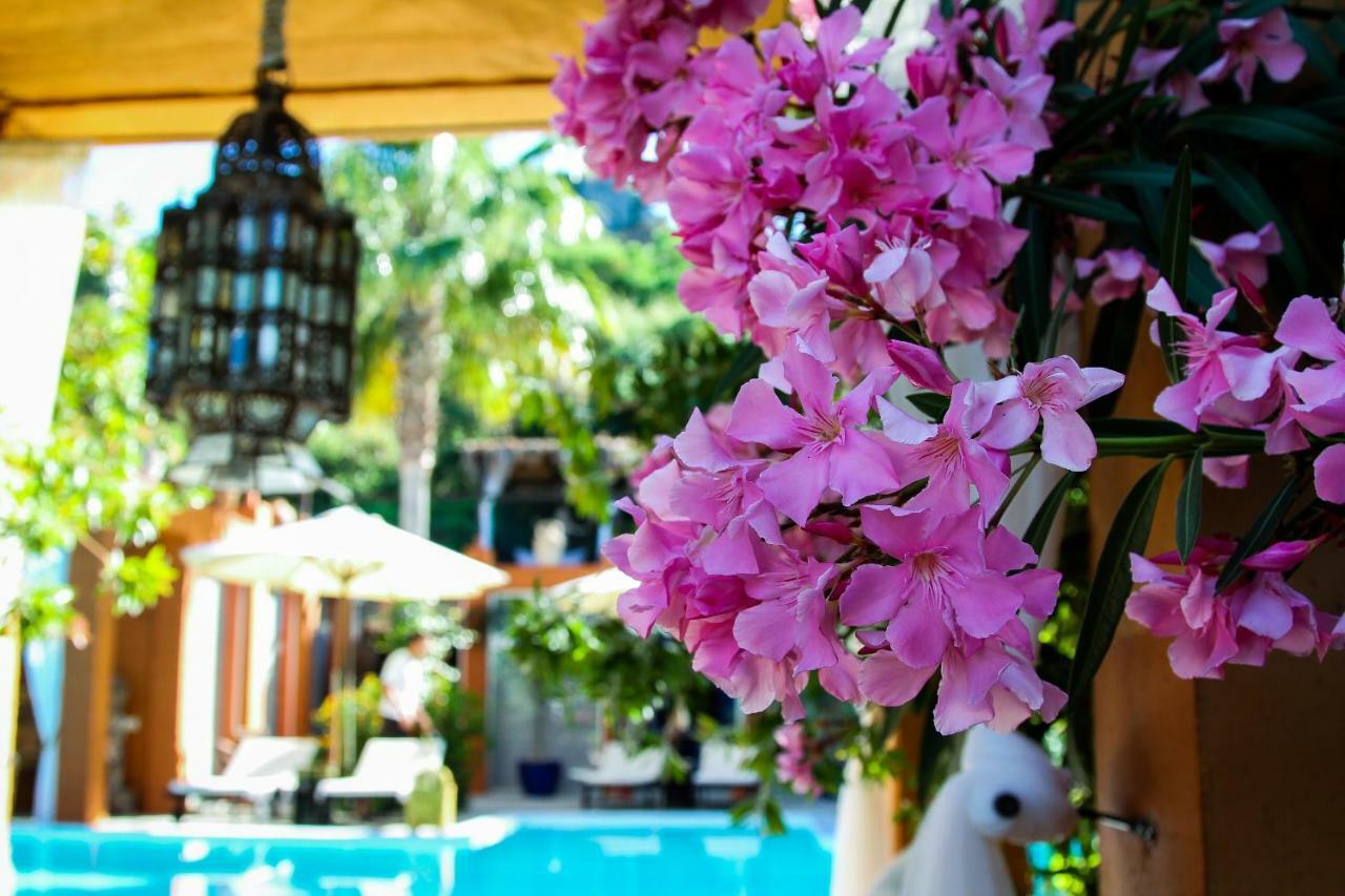 Hotel DDG Retreat Casares Exterior foto